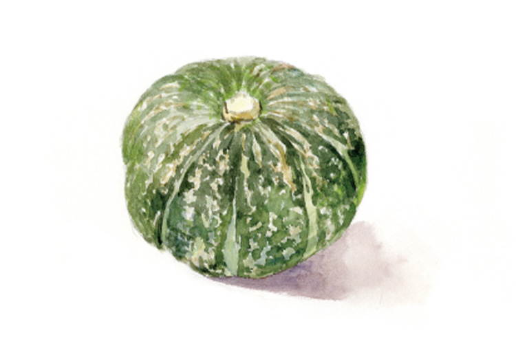 野菜を描いてみよう 参考例：かぼちゃ